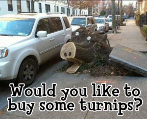 New Animal Crossing?